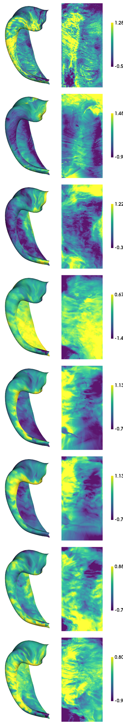 ../_images/tutorials_Histology-MRI-9p4T_21_1.png