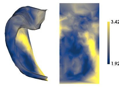 ../_images/tutorials_MRI-3T-rsfMRI_11_2.png