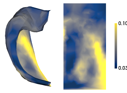 ../_images/tutorials_MRI-3T-rsfMRI_28_1.png