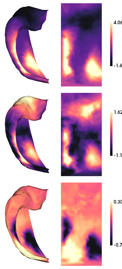 ../_images/tutorials_MRI-3T-rsfMRI_38_1.png