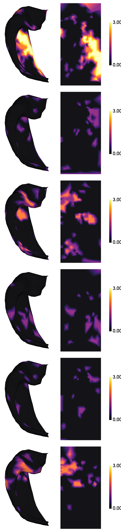 ../_images/tutorials_MRI-3T-taskfMRI_22_0.png