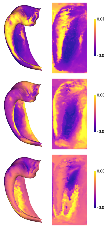 ../_images/tutorials_MRI-7T-struct_29_1.png