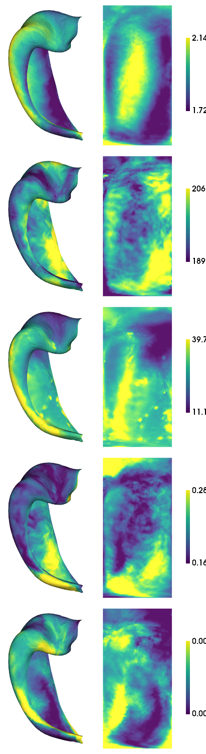 ../_images/tutorials_MRI-7T-struct_8_2.png