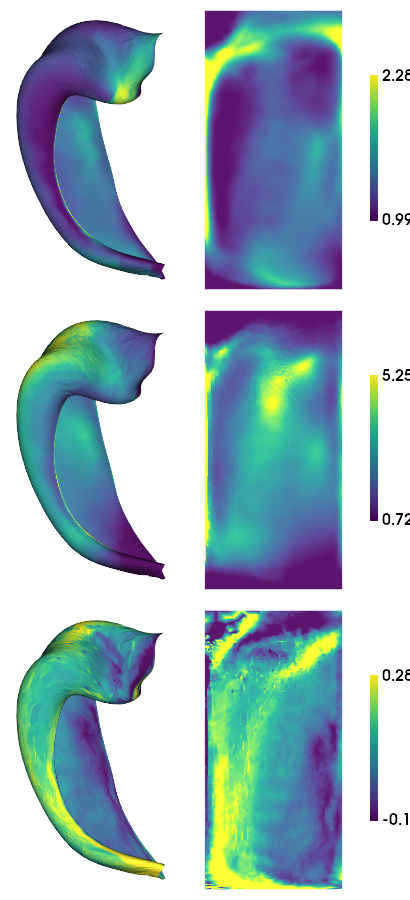 ../_images/tutorials_Morphology_15_0.png