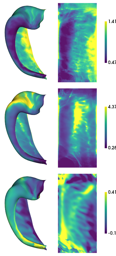../_images/tutorials_Morphology_7_1.png